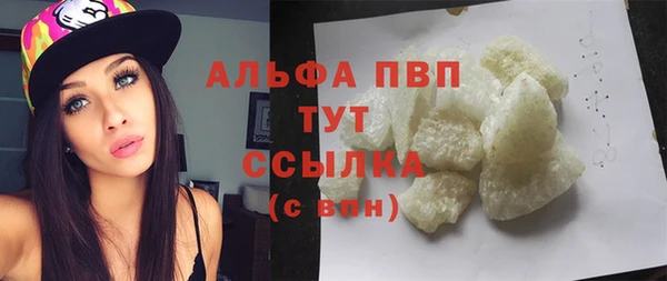 ПСИЛОЦИБИНОВЫЕ ГРИБЫ Волоколамск