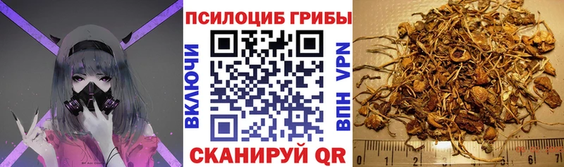 где найти наркотики  kraken рабочий сайт  Псилоцибиновые грибы Cubensis  Иннополис 